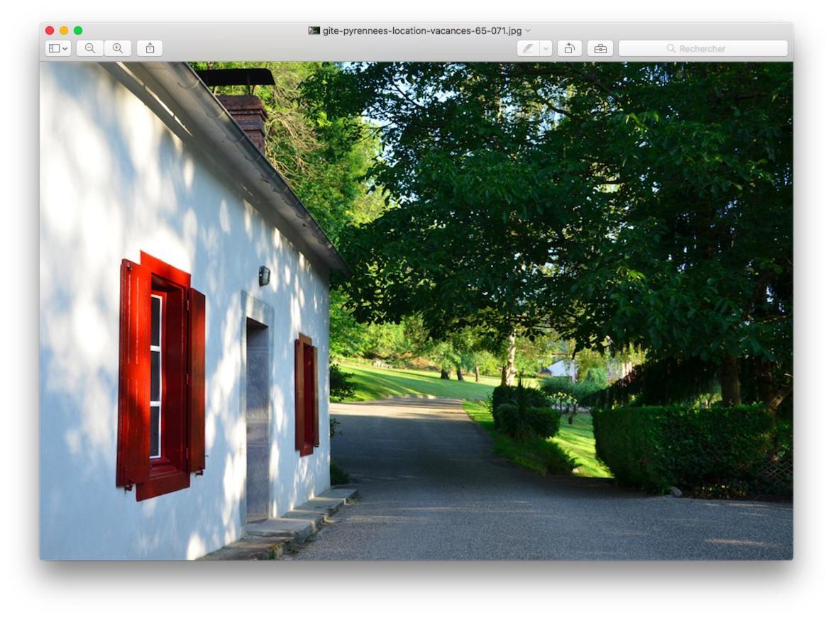Le Chalet Des Pyrenees St Savin Saint-Savin  Eksteriør bilde